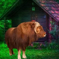 Wow Musk Ox Forest Escape HTML5