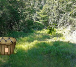 365 Mystery Forest Escape