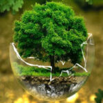 BIG-Nature Of Tree World Escape HTML5