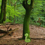 G2R-Nature Wooden Forest Escape HTML5