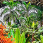 G2R-Big-Nursery Plant Garden Escape HTML5