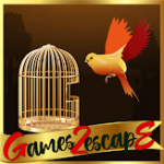 G2E Orange Parakeet Rescue HTML5