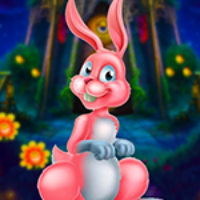 PG Funny Rabbit Escape