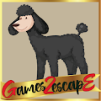 G2E Black Poodle Rescue HTML5