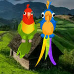 BIG-Pair Macaw Escape HTML5