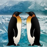BIG-Penguin Island Escape HTML5