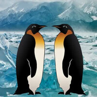  BIG-Penguin Island Escape HTML5