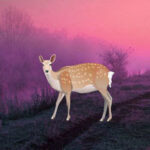 WOW-Pink Deer Lake Escape HTML5