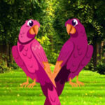 G2R-Pinky Bird Pair Escape HTML5