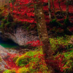 G2R- Pleasant Autumn Forest Escape HTML5