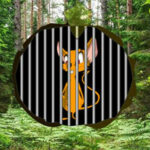 WOW-Poison Forest Fox Escape HTML5