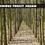 G2M Decidious Forest Jigsaw