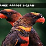 G2M Orange Parrot Jigsaw