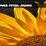 G2M Flower Petal Jigsaw