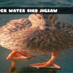 G2M Duck Water Bird Jigsaw