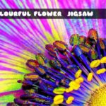 G2M Colourful Flower Jigsaw