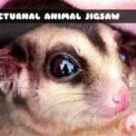 G2M Nocturnal Animal Jigsaw