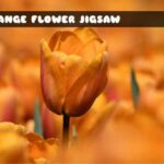 G2M Orange Flower Jigsaw