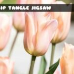 G2M Tulip Tangle Jigsaw