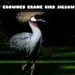 G2M Grey Crowned Crane Bird Jigsaw