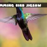 G2M Humming Bird Jigsaw