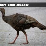 G2M Turkey Bird Jigsaw