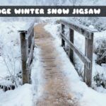 G2M Bridge Winter Snow Jigsaw