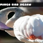 G2M Flamingo Bird Jigsaw