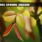 G2M Leaves Spring Jigsaw