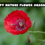 G2M Poppy Nature Flower Jigsaw