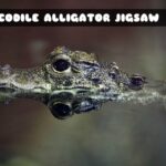 G2M Crocodile Alligator Jigsaw