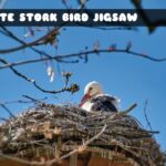 G2M White Stork Bird Jigsaw