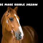 G2M Horse Mare Bridle Jigsaw