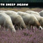 G2M Heath Sheep Jigsaw