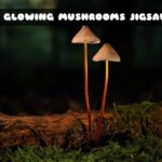 G2M Two Glowing Mushrooms Jigsaw