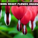 G2M Bleeding Heart Flower Jigsaw