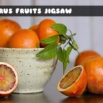 G2M Citrus Fruits Jigsaw