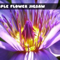 G2M Purple Flower Jigsaw