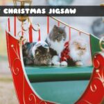G2M Pet Christmas Jigsaw