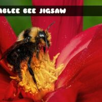 G2M Bumblee Bee Jigsaw