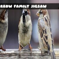 G2M Sparrow Family Jigsaw