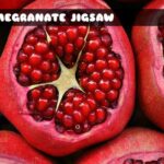 G2M Pomegranate Jigsaw