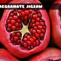 G2M Pomegranate Jigsaw