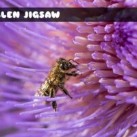 G2M Pollen Jigsaw