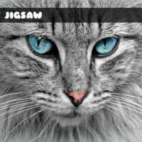 G2M Cat Jigsaw