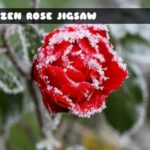 G2M Frozen Rose Jigsaw