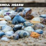 G2M Seashell Jigsaw
