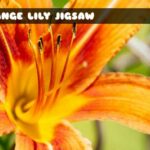 G2M Orange Lily Jigsaw