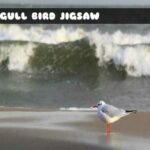 G2M Seagull Bird Jigsaw