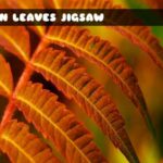 G2M Fern Leaves Jigsaw